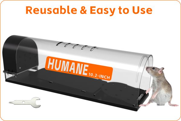 humane mouse trap