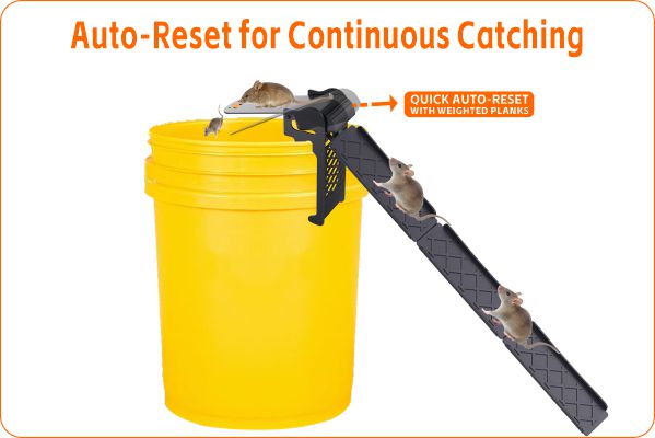 walk the plank bucket mouse trap